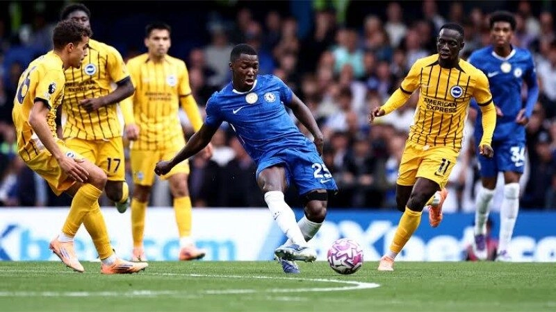 Chelsea tự tin đánh bại Brighton